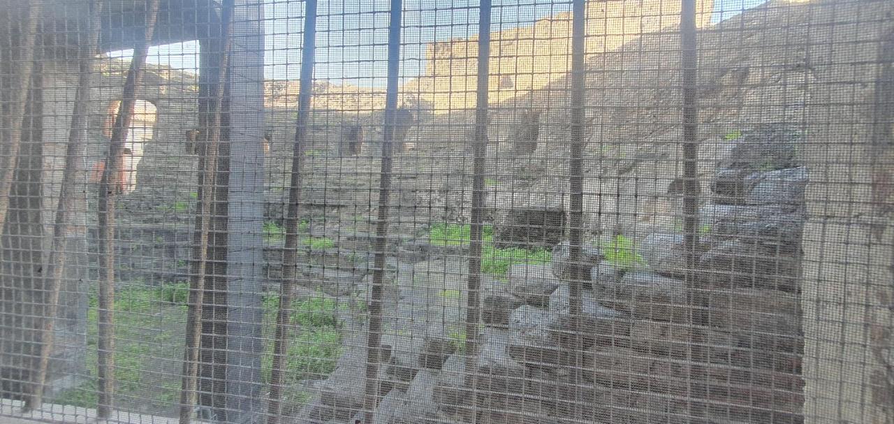 Domus Odeon La Casa Nel Parco Archeologico Di Catania 아파트 외부 사진